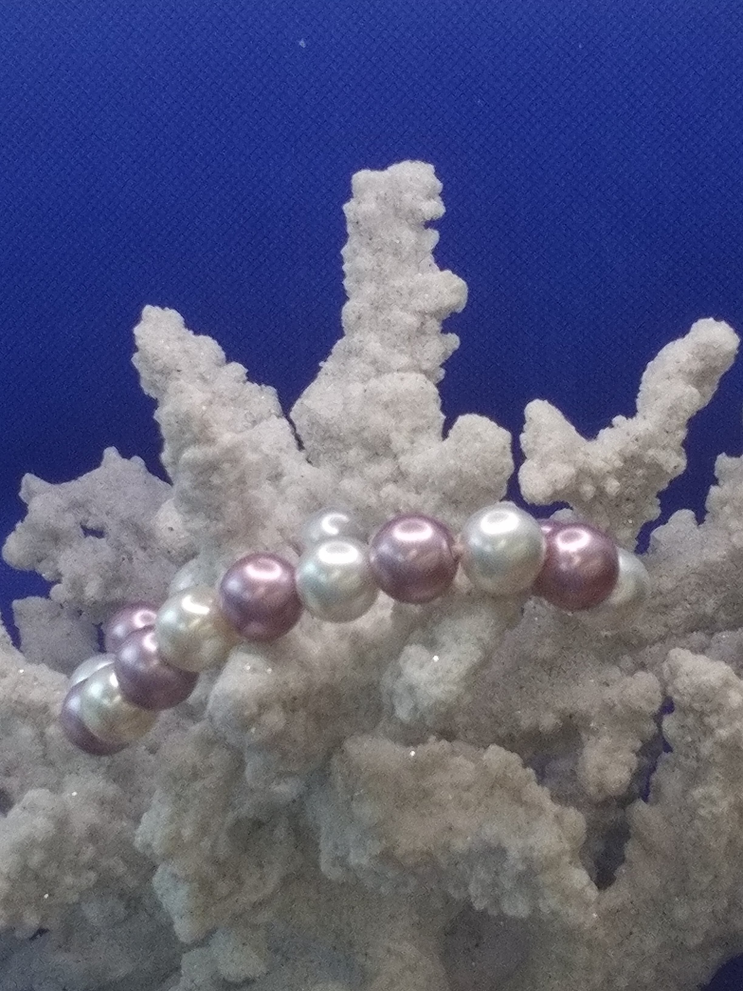 Jewelry Trends for Women in 2025: What’s Set to Shine