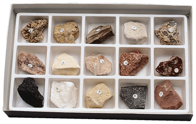 "From Rock Collector to Jewelry Designer: My Journey of Turning Nature’s Treasures into Art"